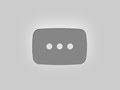Facinating World Animals 8K ULTRA HD | Wildlife of the Tropical Forest
