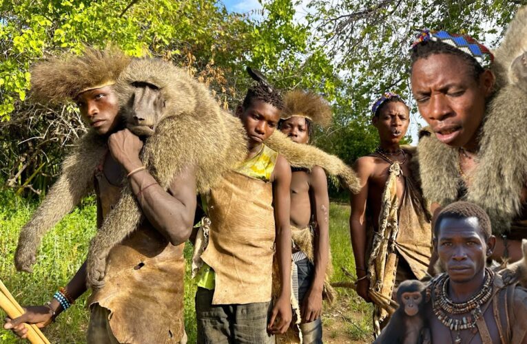 Discover Hadzabe Tribe Baboon MONKEY Hunt | hunters life