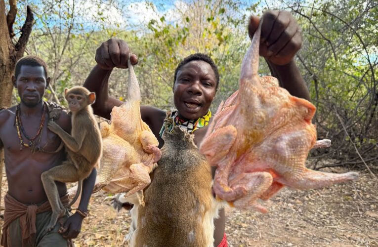 Discover Hadzabe Wild Hunt and Cooking | monkey eating tribe