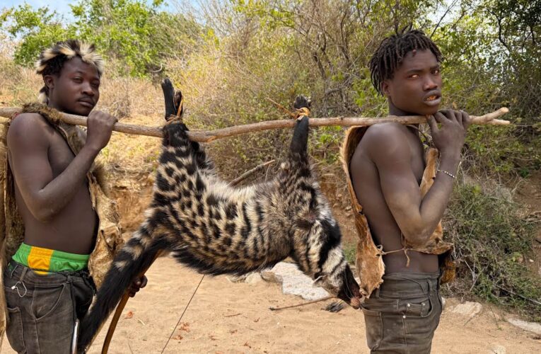 Wild Cat vs. Primitive Hunters – The Outcome is Shocking!