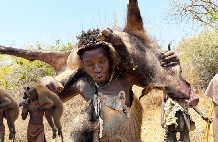 Life of Hunters Hadzabe Documentary Ep 1 | successfully hunts