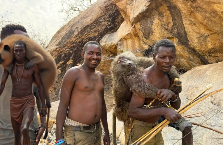 Hadzabe Tribe BABOON Monkey HUNT | monkey eating tribe