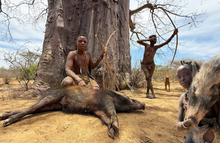 UNBELIEVABLE Bush Pig Hunt | life of hunters