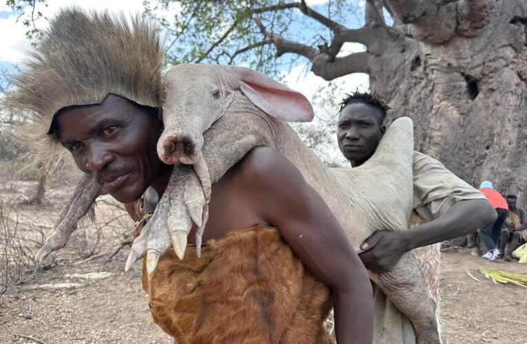 Hadzabe tribe Lifestyle | Hunting for Survival