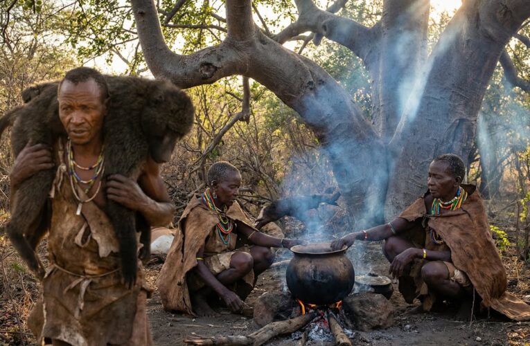 Wild Kitchen | Hadzabe ways of cooking and Eating