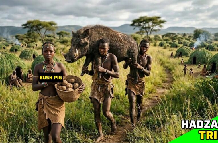 Bush Pig Hunt in the Wild – Hadzabe Tribe Incredible Hunting Skills