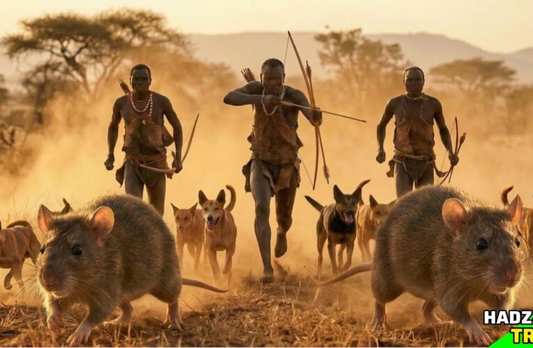 Shocking Survival Skills! Hunting Massive Rats in Africa | life of hunters