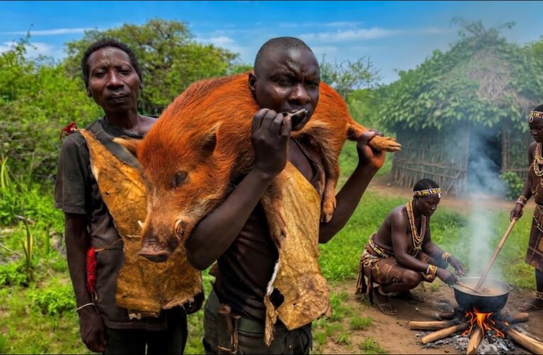 INSANE Wild Boar Hunt: Survival in the Deep Bush