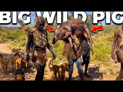 Ancient Hadzabe Hunters Catch a Pig