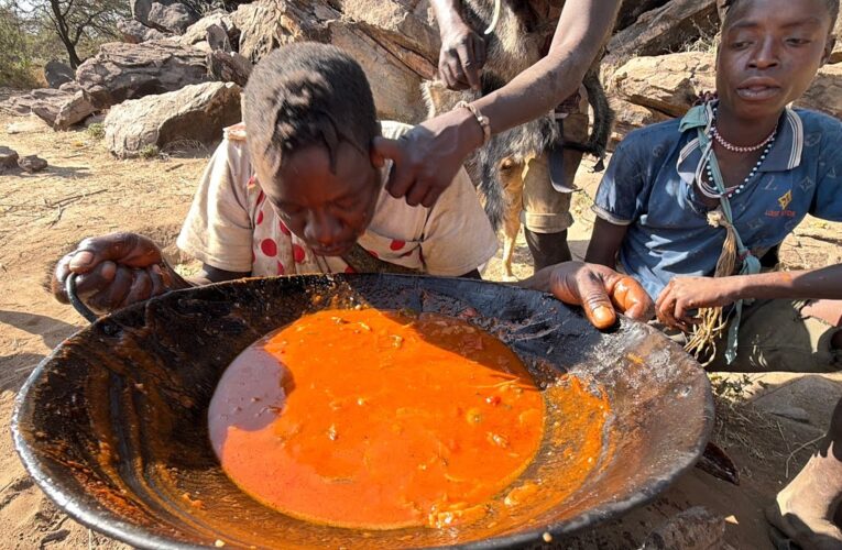 7 Days Hunting with the Hadzabe Tribe | Life in the African Wilderness