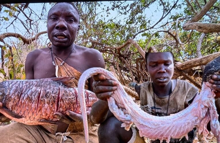 Discover Hadzabe Hunters Cook  in Wilderness